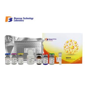 China L'enzyme APEX1 humaine de sandwich a lié l'analyse Kit With d'immunosorbant que 2 heures analysent le temps supplier
