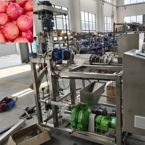 Pasteurization Apple Juice Production Line 15T Capacity