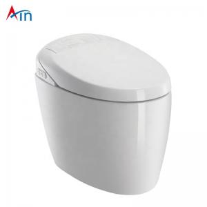 Multifunction Bathroom Smart Toilet , Concealed Tank Electric Bidet Toilet