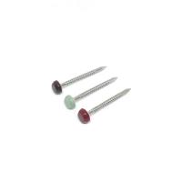 China Annular Ringed A4 Stainless Steel Plastic Head Pins For Construction Fixing on sale