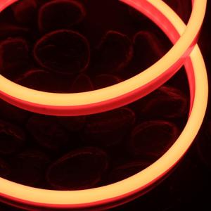 China o néon flexível de 10W IP68 conduziu a curvatura 1220 lateral do néon do poliuretano do RGB da tira supplier