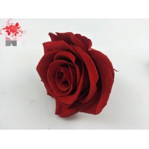 China Japanese preserved red rose flowers for wedding flower stands Natural Fresh flower rose supplier