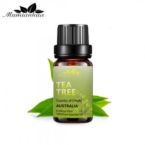 Skin Tea Tree Essential Oil 100% Pure Organic Essential Oil 1kg OEM / ODM