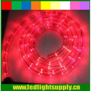 China outdoor christmas rope light 12/24v 1/2'' 2 wire led rope lights supplier