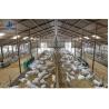 Steel Structure Chicken House Broiler House Farm Shed Poultry Building with Welding