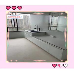 China Customized Made Chemical Lab Workbenches With Wooden Base Cabinet Epoxy Resin Sink supplier