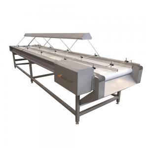220v/ 380v Stainless Steel 304 Nut Selecting Conveyor Belt for Raisin Sorting Machine