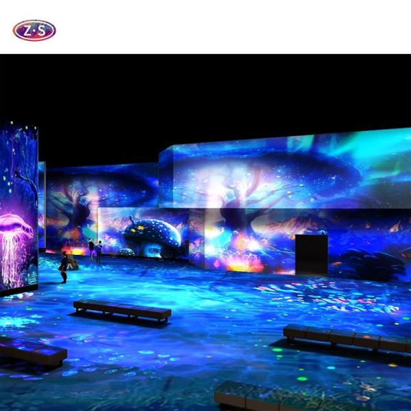 3800lm-6000lm 3D Hologram Laser Projector Indoor Holographic Projection