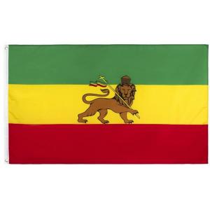 Ethiopian lion Knit Polyester Advertising Banner Flags