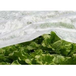 China Breathable PP Non Woven Fabric , Garden Weed Control Fabric For Agriculture supplier
