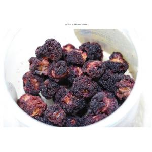 Myrica rubra (Lour.) S. et Zucc. Dried fruits,Yang mei ,health food