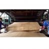 China Container Flooring Eucalyptus Core Veneer WBP Phnolic Glue wholesale