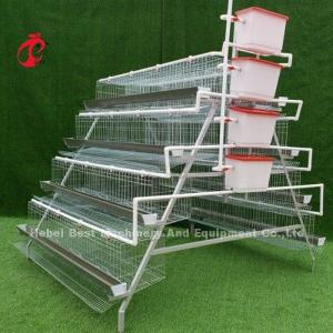 China Best Selling A Type 4 Tiers Hot Galvanized Automatic Chicken Battery Cages For Sale Adela supplier