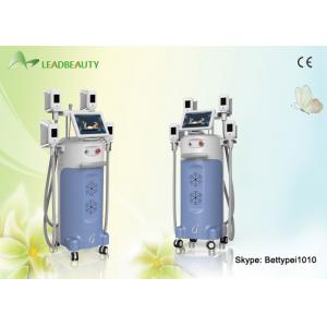 China Advanced cryo freezing fat cell slimming / cryo fat freeze vacuum slimming machine supplier