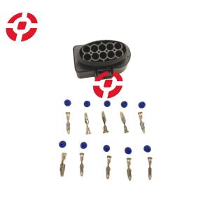 China Auto Wire Harness Plugs Auto Temp Sensor Plug 1 Set 10 Pin 3.5mm Auto Waterproof Connector Deflation Valve Halogen Headlight Plug 6R0973735 supplier
