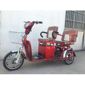 Two Persons 3 Wheel Electric Tricycle Scooter 800W Brushless Steel Frame