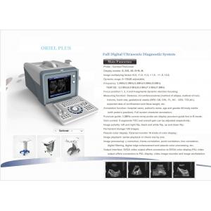 Animal Cattle Veterinary Ultrasound Machines 6.5MHz R13 Cavity Probe