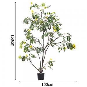 Real Stem Artificial Landscape Trees Piptanthus 160cm No Nursing Evergreen 20'' Container