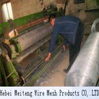 China Galvanized Welded Wire Mesh 25mmx25mm for sale