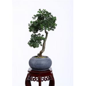 Arbre 60cm en plastique non toxique de bonsaïs, charme élégant de bonsaïs de soin facile authentique d'arbre