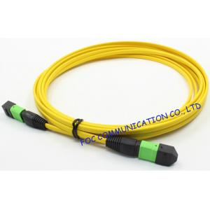 China Ribbon Fan Out MPO Multimode Fiber Optic Patch Cord Assembly FTTX supplier