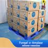 China Baking Industry Enzymes 100000SKB Amylase Enzyme For Bread wholesale
