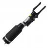 China Mercedes w251 Air Suspension Shock Absorbe R320 R350 R500 2513203113 A2513203013 A2513203113 wholesale