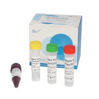 China Monkeypox Real Time PCR Kit Laboratory Rapid Test Monkeypox Virus Test Kit on sale
