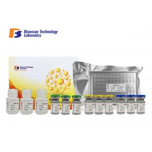 A1AGP Bovine Enzyme Linked Immunosorbent Assay Elisa Kit 96 Wells With High Sensitivity And Specificity