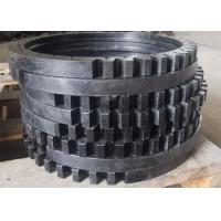 China Non Standard Spur Toothed Worm Gear Wheel Anti Static Nylon Material Customized on sale