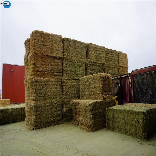 Wholesale Plastic PP Hay Baler Rope 100% Polypropylene Baler Twine For Sale