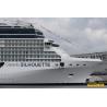 China Scale 1:900 Pretty 3d Ships Models , Solstice Class Celebrity Silhouette Cruise Ship Model wholesale