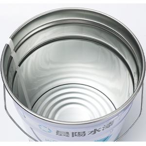 27-30 Ga 5 Gallon Open Head Steel Pail With Clear Rust Inhibitor