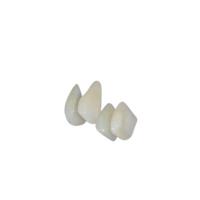 China Easy Clean OEM Composite Teeth Veneers Long-Lasting Color Stability on sale