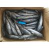 China 3ppm Histamine A Grade Bulk 250kg Frozen Bonito Fish wholesale