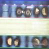 China 1.5 Ton Output Intelligent Chestnut Sizer And Grader Machine com 99,9% de precisão de classificação wholesale
