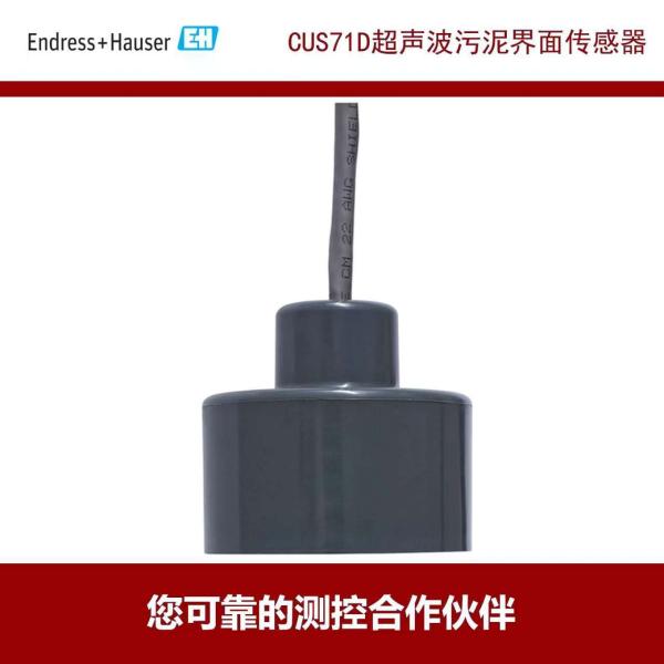 EMF Turbidity Analyzer Ultrasonic Sludge Interface Sensor CUS51D-AAD1A4 