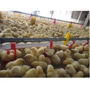Broiler Automatic Poultry Drinker Nipple Cup Drinker System