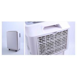 Two In One Air Purifier Desktop Mini Room Dehumidifier With Hepa 11