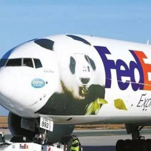 EXPRESS Delivery To France Ups DHL Fedex Door To Door International Shipping