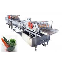 China Customized Stainless Steel Vegetable Fruit Washing Machine For Industry on sale