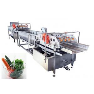 China Customized Stainless Steel Vegetable Fruit Washing Machine For Industry supplier