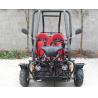SAMLL 110cc Go Kart Buggy / Adult Off Road Go Kart With Double Adjustable Seat