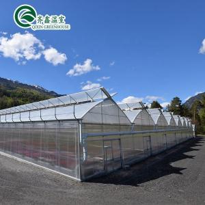 China PC Sheet Cover Material Multi-Span Agricultural Greenhouse for Vegetable Growing supplier