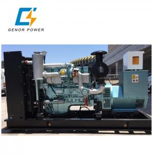 China Natural Gas Powered Genset Diesel Generator electricity 200kva ECU Ignition system Spark plug supplier