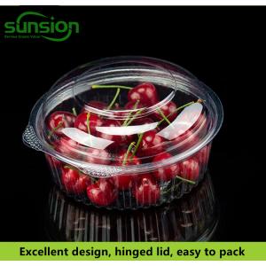 China 24OZ 500ml Plastic Food Packing Box Disposable Fruit Salad Containers supplier