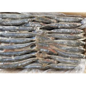 Decapterus Muroaji Under 18 Degree 75g 80g Frozen Fishing Bait