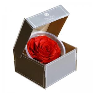 China 9-10cm Dried Preserved Flower Roses Forever Gift for Birthday Valentines Christmas Day 1pcs/box supplier