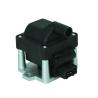 China Reemplazo de la bobina del cilindro del coche/OEM electrónicos inductivos 004050016 de la bobina de ignición de Skoda wholesale