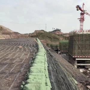 China Best and 100% PP Material High Strength Polypropylene Geogrid for Reinforcing Roadbed supplier